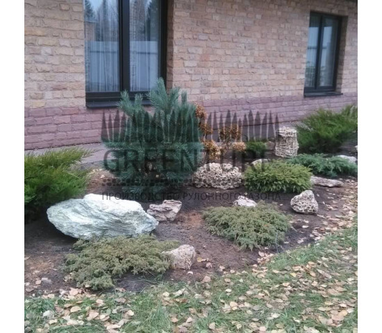 Озеленение и благоустройство территории - фото - 8