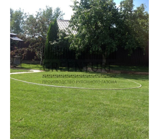 Укладка рулонного газона в деревне Слепушкино - фото - 8