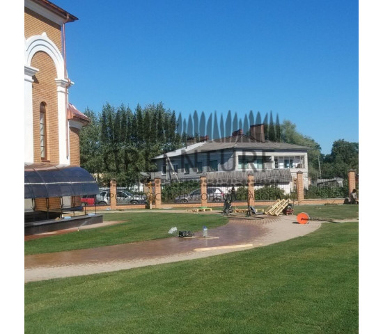 Озеленение храма св. Владимира - фото - 10