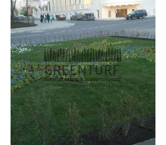 Озеленение части территории около Префектуры ВАО - фото - 2