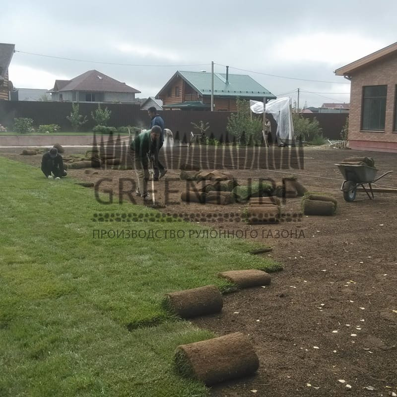 Устройство рулонного газона с заменой грунта - фото - 1